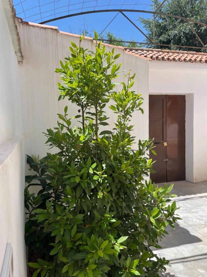 La Casita De San Nicolas Гранада Экстерьер фото